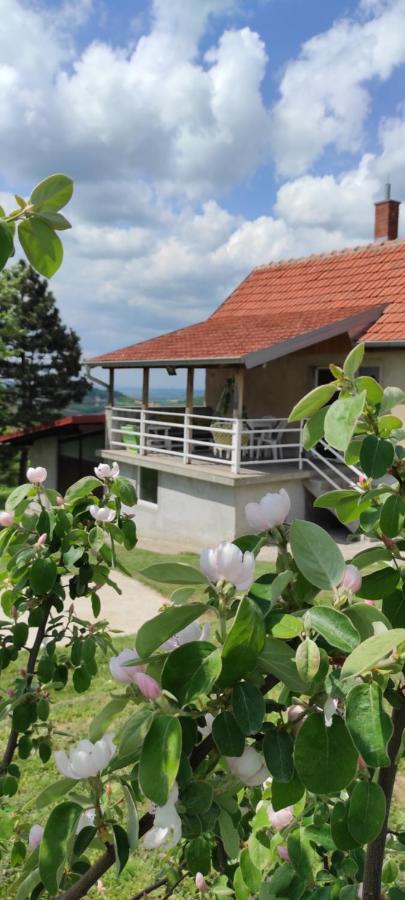 Vikend House Villa Ljig ภายนอก รูปภาพ